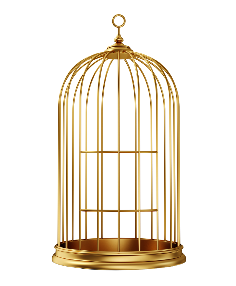 Empty golden birdcage symbolizing the value of freedom from meth addiction